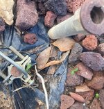 old pipe.jpg