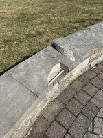 IMG_4565.jpg