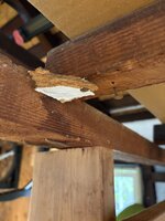 IMG_0099.jpeg