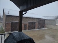 snow2.jpg snow2.jpg