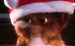 1000013201.gif