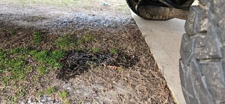 Oil Leak.jpg