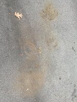 IMG_0092.jpg IMG_0092.jpg