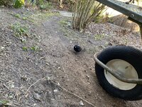 IMG_4941.jpeg