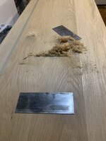 IMG_1870.jpeg
