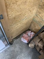 IMG_3680.jpg