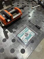 IMG_7303.JPEG