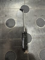 IMG_7305.JPEG