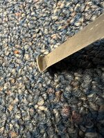 IMG_3150.jpeg