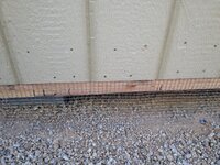 IMG_1877_Original.jpeg IMG_1877_Original.jpeg