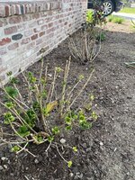 IMG_4722.jpeg IMG_4722.jpeg