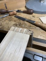 IMG_0437.jpeg