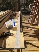 IMG_9499.jpeg IMG_9499.jpeg