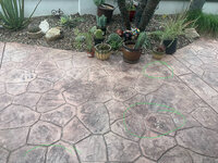 IMG_1614.jpeg