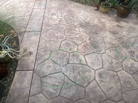 IMG_1615.jpeg