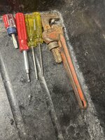 IMG_6303.jpeg