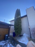 IMG_2261.jpeg