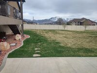 lawn1.jpg
