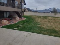 lawn4.jpg