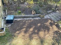 IMG_5116.jpeg