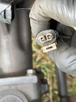 IMG_1580.jpeg