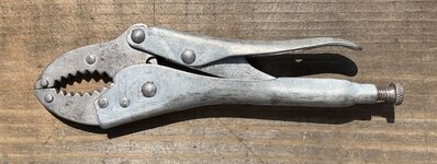 IMG_1507.jpeg