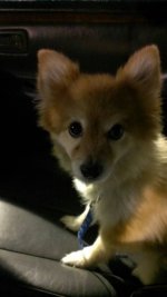 uploadfromtaptalk1390877860584.jpg