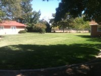 backyard1.JPG backyard1.JPG