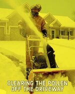 pollen.jpg