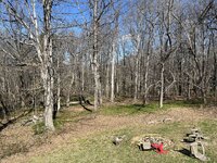 IMG_8919.jpg