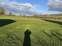 IMG_3729.jpeg IMG_3729.jpeg