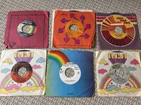 IMG_1019.jpeg