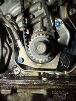 IMG_2983.jpeg