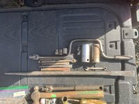 IMG_2977.jpeg