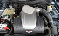 Picture-176.jpg