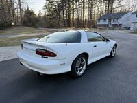 IMG_3236.jpeg