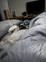 IMG_7013.jpeg