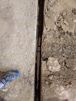 PXL_20250328_152925605.jpg PXL_20250328_152925605.jpg