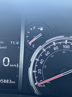 IMG_5010.jpeg
