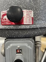 IMG_6995.jpeg