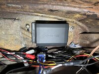 IMG_6751.jpeg IMG_6751.jpeg