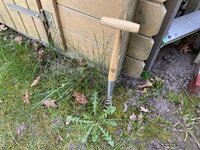 IMG_5373.jpeg