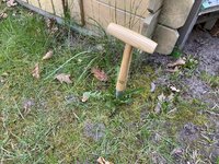 IMG_5382.jpeg