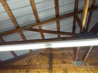 IMG_0796.jpeg