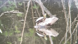 IMG_2007.jpeg
