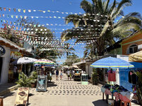 IMG-0787.jpg
