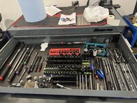 IMG_2383.jpeg