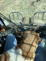 IMG_1003.jpeg