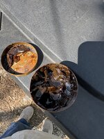IMG_1785.jpeg