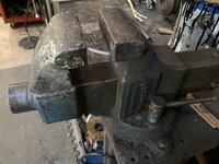IMG_5534.jpeg